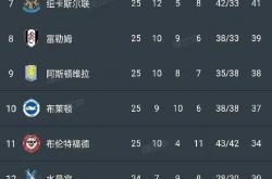 开云体育平台APP-包含曼城血洗对手，欧冠资排名节节攀升的词条