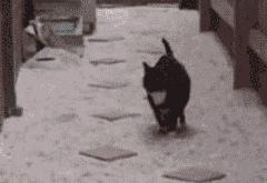 开云体育平台APP-莱奥生死时刻化身战神，希腊奇迹夜击碎西班牙王朝