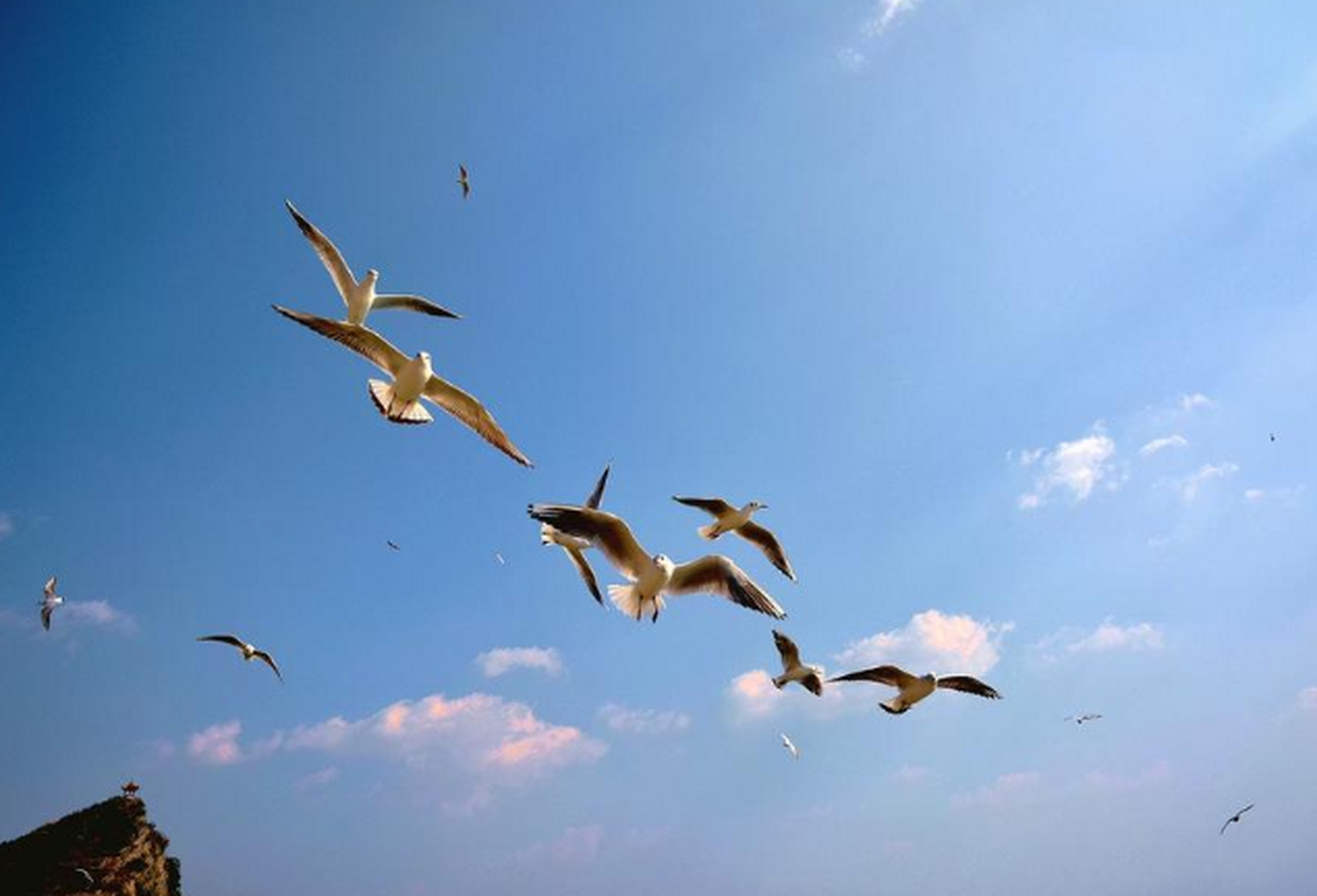 包含雄鹿绝杀灰熊，拉塞尔绝境逆转的词条