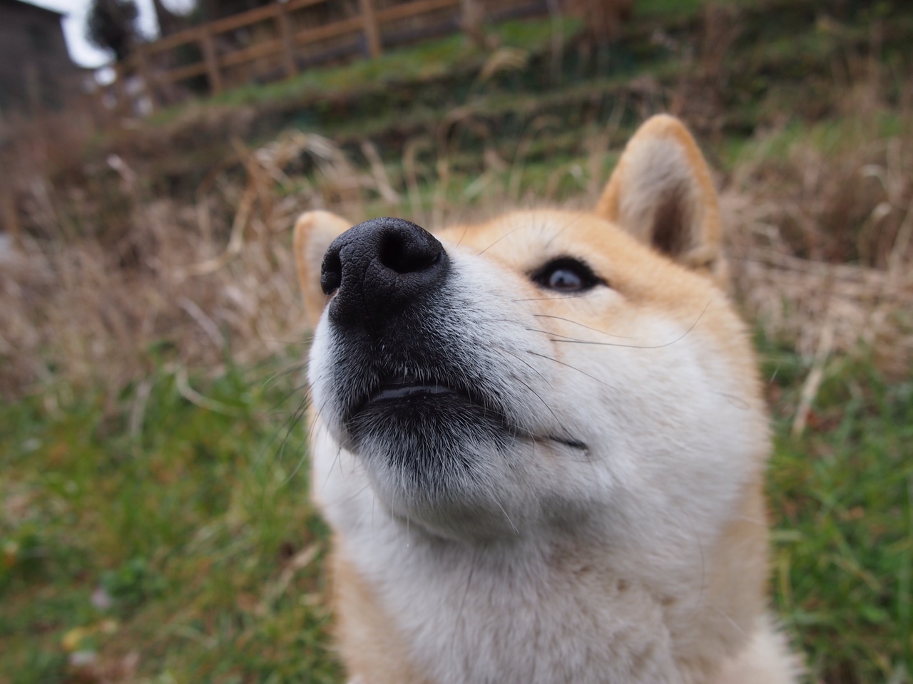 世界排名争夺战焦点战，步行者一波流带走爵士，东部格局再起波澜