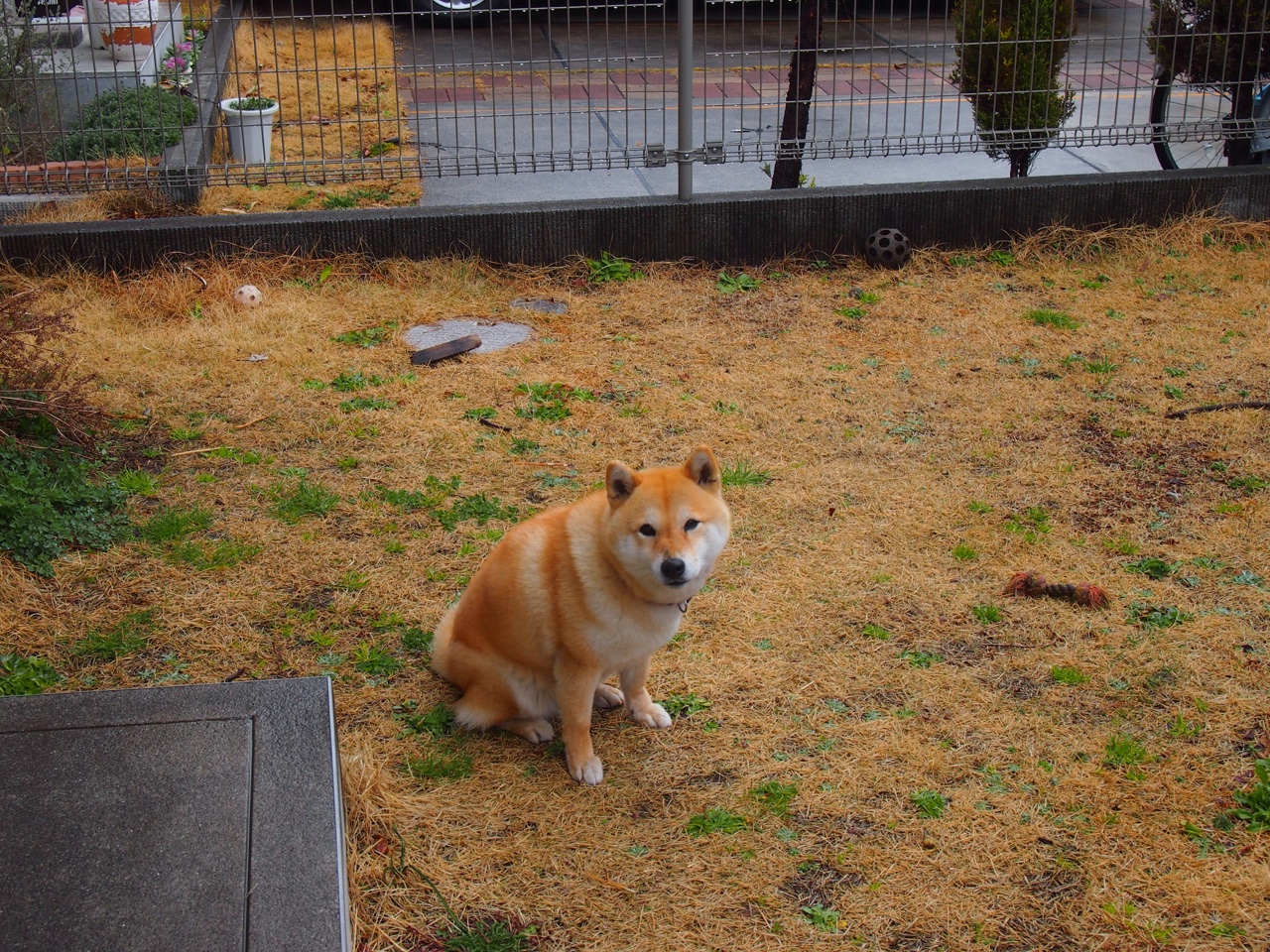 从美加墨世界杯焦点战到山西队终结篮网，体育叙事中的唯一性瞬间