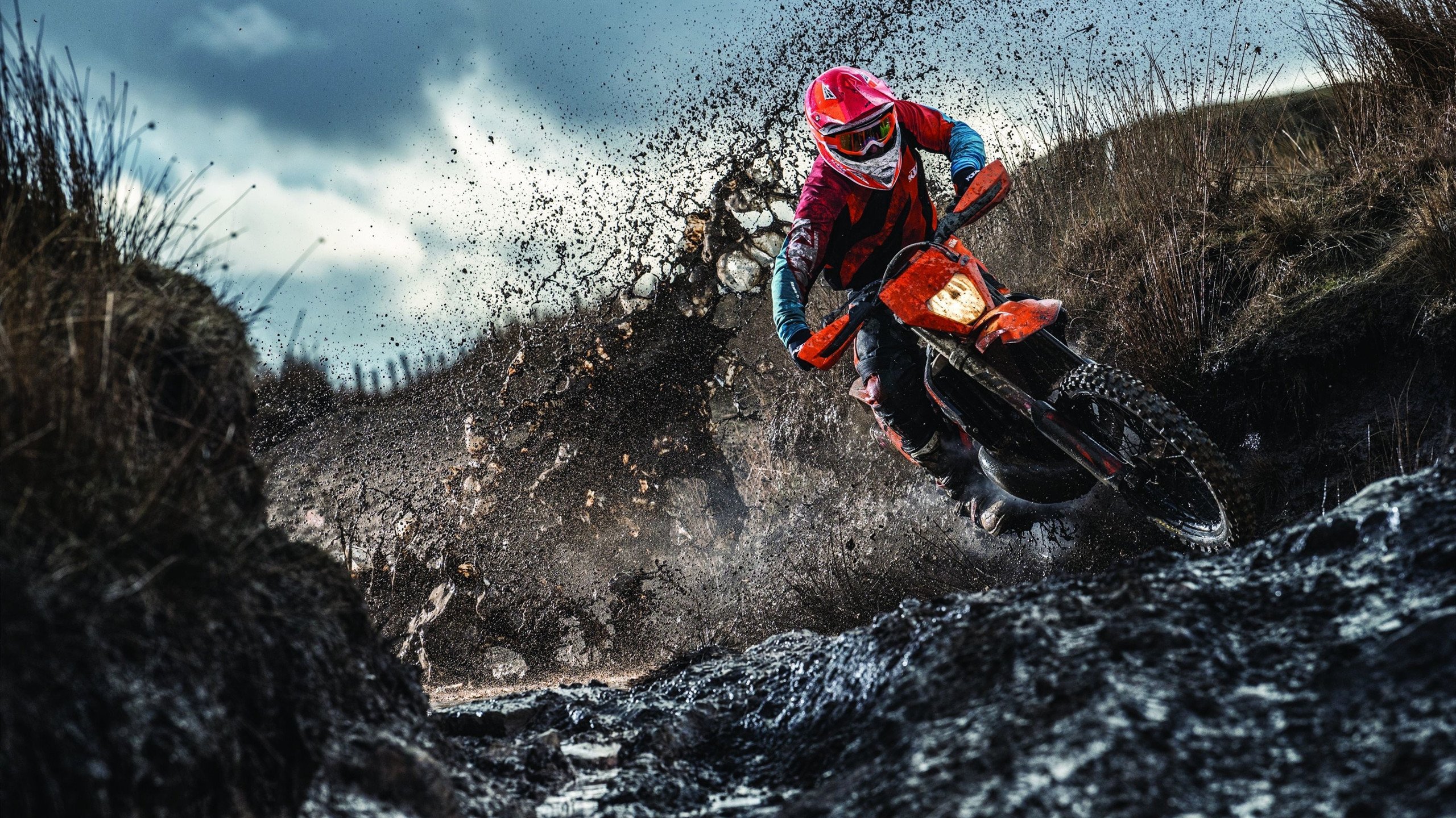 橙色郁金香凋零枫叶国，格纳布里火热状态助加拿大历史性拿下荷兰